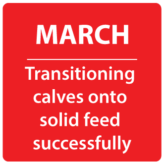 Transitioning calves onto solid feed successfully