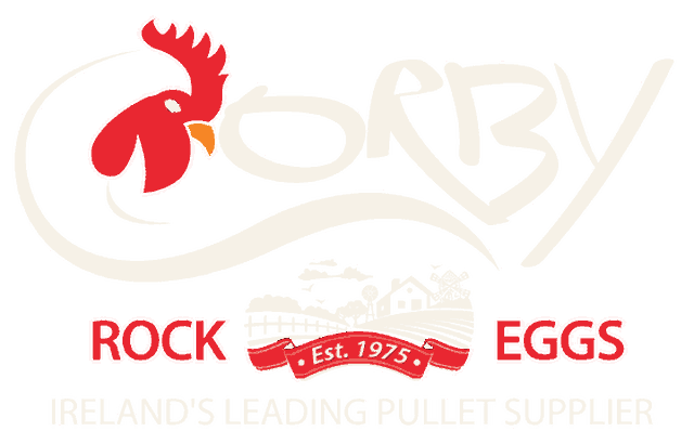 Corby Rock Eggs